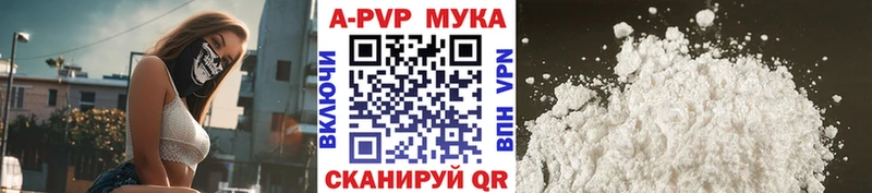 kraken как войти  Гатчина  Альфа ПВП СК 