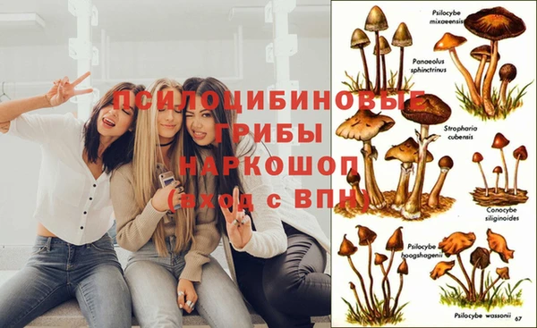 COCAINE Богданович