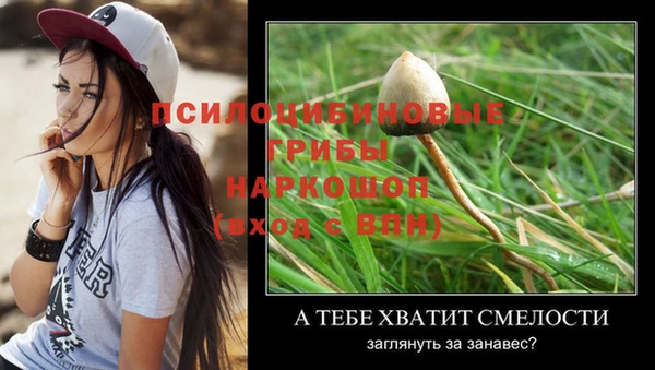 ECSTASY Бугульма