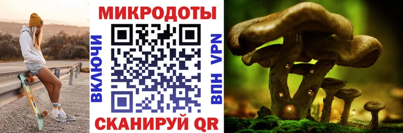 Псилоцибиновые грибы прущие грибы наркошоп Гатчина